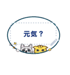 My Cat Love stamp（個別スタンプ：5）