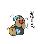 いしがめくん（個別スタンプ：1）