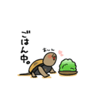 いしがめくん（個別スタンプ：5）