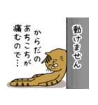 我らノラネコ族（個別スタンプ：27）