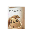 もとくんいきものスタンプ#1（個別スタンプ：5）