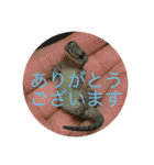 もとくんいきものスタンプ#1（個別スタンプ：6）