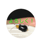 もとくんいきものスタンプ#1（個別スタンプ：7）