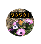 もとくんいきものスタンプ#1（個別スタンプ：15）