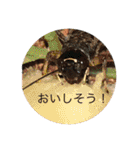 もとくんいきものスタンプ#1（個別スタンプ：21）
