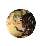 もとくんいきものスタンプ#1（個別スタンプ：22）