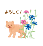 花猫  春の花いっぱいのなかの猫（個別スタンプ：12）