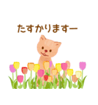花猫  春の花いっぱいのなかの猫（個別スタンプ：14）
