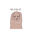 わんこず（LL-01)（個別スタンプ：28）