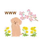 花犬 春の花いっぱいと犬（個別スタンプ：13）