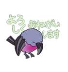 ピンクロビンさん（個別スタンプ：5）