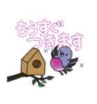 ピンクロビンさん（個別スタンプ：10）