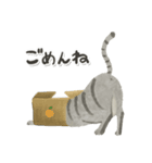 ほっこり猫スタンプ3（文字ありver.）（個別スタンプ：4）