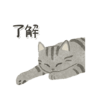 ほっこり猫スタンプ3（文字ありver.）（個別スタンプ：11）