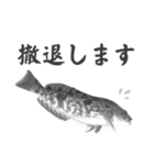 つりきちとおさかな ver.01（個別スタンプ：2）