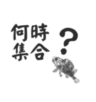 つりきちとおさかな ver.01（個別スタンプ：5）