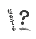 つりきちとおさかな ver.01（個別スタンプ：8）