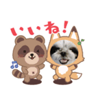 ろくちゃん3（個別スタンプ：6）