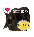 黒猫 ルナ院長43にゃんめ（個別スタンプ：4）