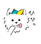 westie boy*（個別スタンプ：1）