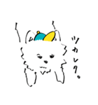 westie boy*（個別スタンプ：15）