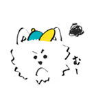 westie boy*（個別スタンプ：20）