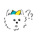 westie boy*（個別スタンプ：23）