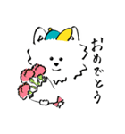 westie boy*（個別スタンプ：28）