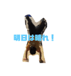 これが俺だ。（個別スタンプ：24）