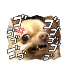きちそらスタンプ（個別スタンプ：2）
