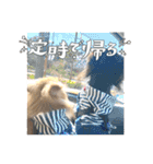 きちそらスタンプ（個別スタンプ：10）