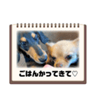 きちそらスタンプ（個別スタンプ：11）