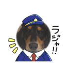 きちそらスタンプ（個別スタンプ：17）