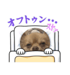 きちそらスタンプ（個別スタンプ：21）