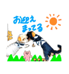 きちそらスタンプ（個別スタンプ：27）