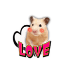 HamPacino（ハムパチーノ） 2（個別スタンプ：7）