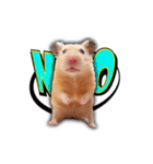HamPacino（ハムパチーノ） 2（個別スタンプ：11）