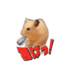 HamPacino（ハムパチーノ） 2（個別スタンプ：19）
