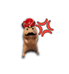 HamPacino（ハムパチーノ） 2（個別スタンプ：22）