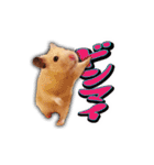 HamPacino（ハムパチーノ） 2（個別スタンプ：23）