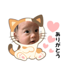 けいとりつしん4（個別スタンプ：1）