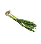 食品シリーズ : おじいちゃんの野菜（個別スタンプ：3）
