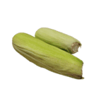 食品シリーズ : おじいちゃんの野菜（個別スタンプ：5）