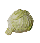 食品シリーズ : おじいちゃんの野菜（個別スタンプ：7）