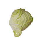 食品シリーズ : おじいちゃんの野菜（個別スタンプ：8）