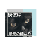 黒猫 ルナ院長44にゃんめ（個別スタンプ：8）