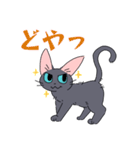 ロシアンブルーさんスタンプ（個別スタンプ：5）