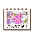 絵画のお花スタンプ仕事ビジネス日常挨拶（個別スタンプ：19）