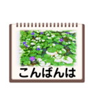 絵画のお花スタンプ仕事ビジネス日常挨拶（個別スタンプ：26）