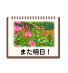 絵画のお花スタンプ仕事ビジネス日常挨拶（個別スタンプ：35）